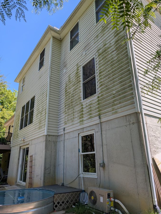 House soft wash before, green algae covering vinyl siding, Morrow OH