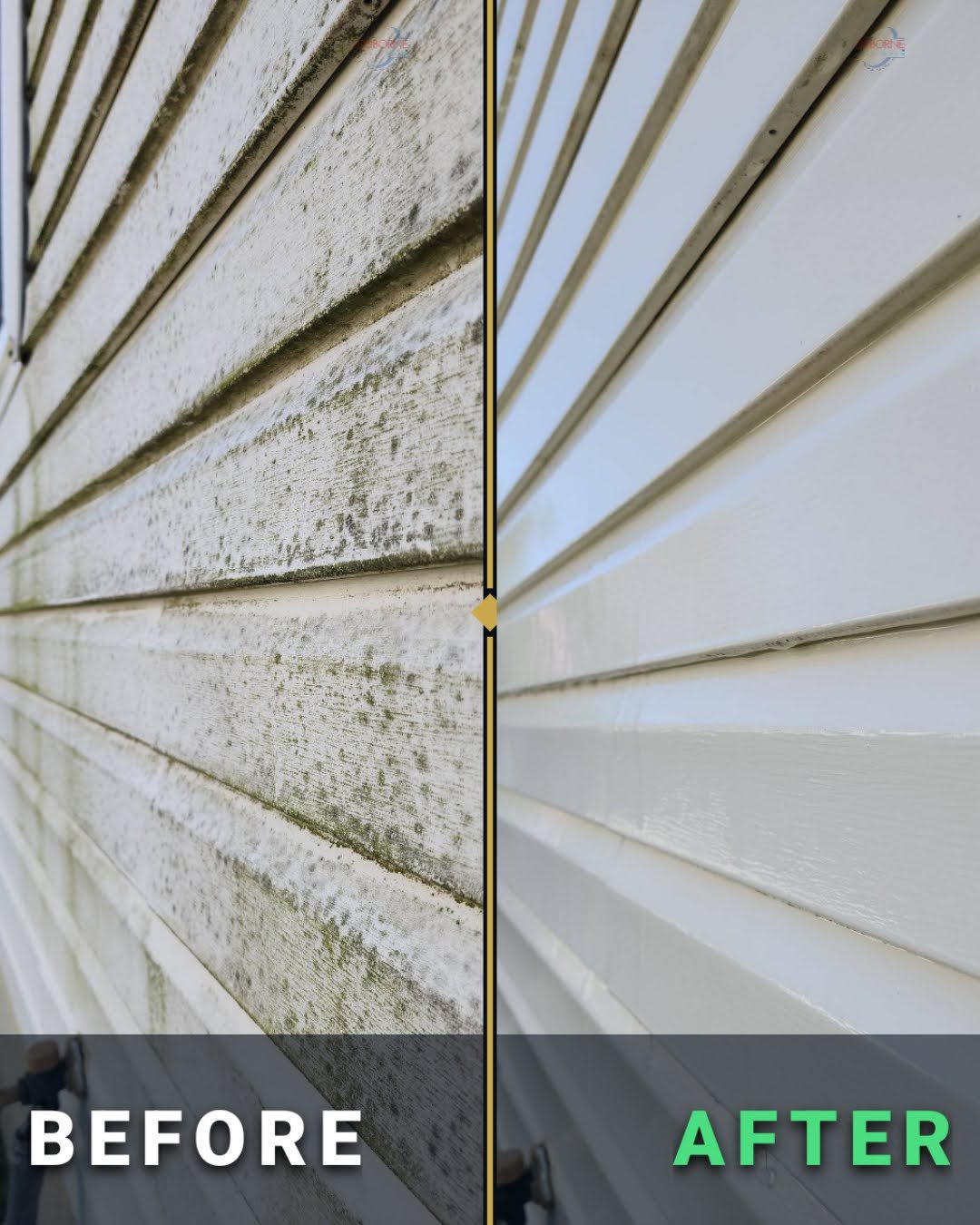 Close-up before and after of mold and mildew removed from vinyl siding by soft washing, by Osborne Pro Wash