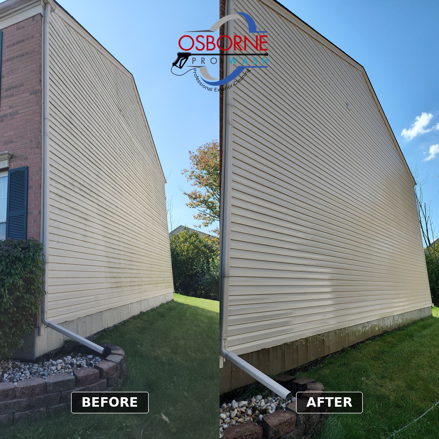 Before and after house soft washing removing heavy algae from a cream vinyl-sided home in South Lebanon, Ohio by Osborne Pro Wash